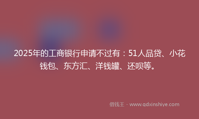 2025年的工商银行申请不过有：51人品贷、小花钱包、东方汇、洋钱罐、还呗等。