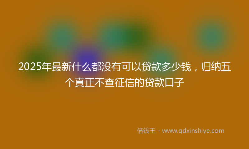 2025年最新什么都没有可以贷款多少钱，归纳五个真正不查征信的贷款口子