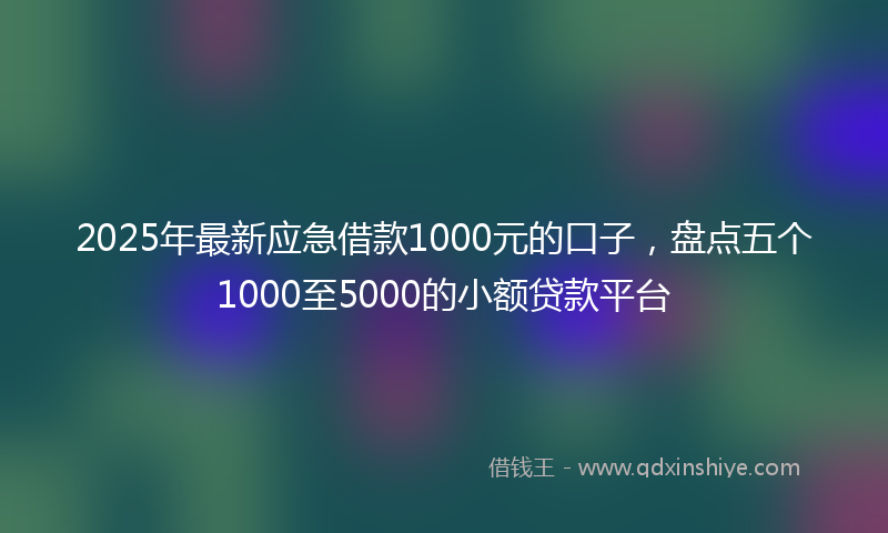 2025年最新应急借款1000元的口子，盘点五个1000至5000的小额贷款平台