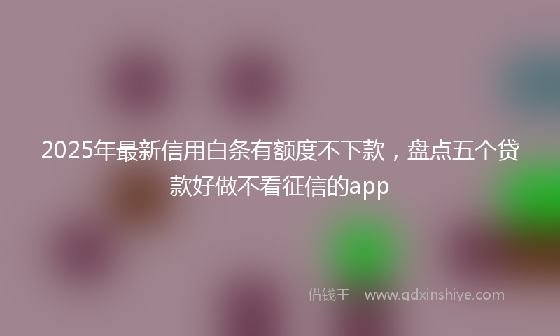 2025年最新信用白条有额度不下款，盘点五个贷款好做不看征信的app