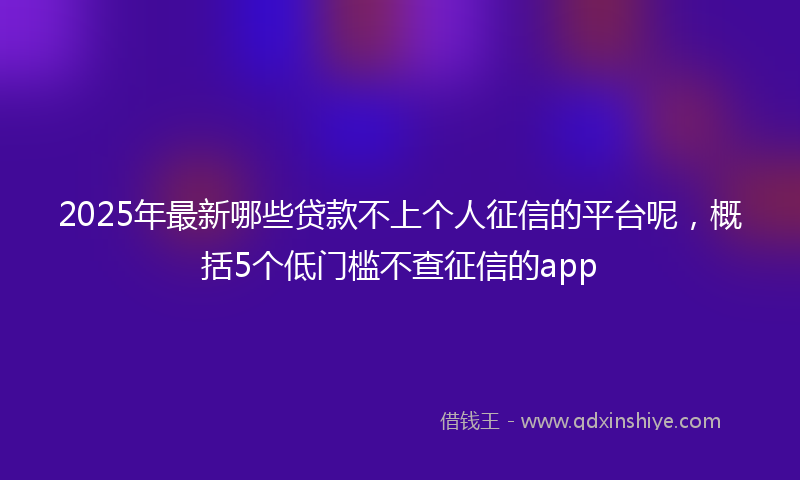 2025年最新哪些贷款不上个人征信的平台呢，概括5个低门槛不查征信的app