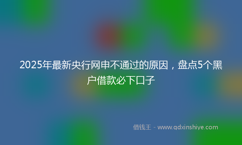 2025年最新央行网申不通过的原因，盘点5个黑户借款必下口子