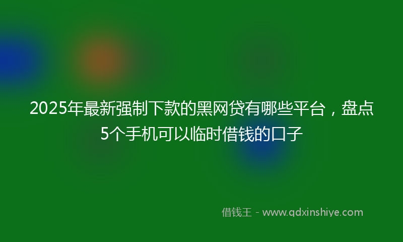 2025年最新强制下款的黑网贷有哪些平台，盘点5个手机可以临时借钱的口子