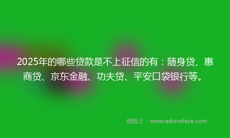 2025年的哪些贷款是不上征信的有：随身贷、惠商贷、京东金融、功夫贷、平安口袋银行等。