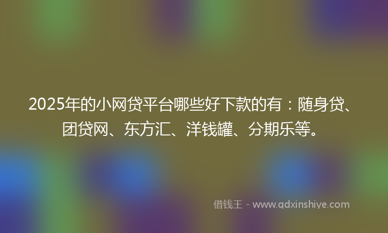 2025年的小网贷平台哪些好下款的有：随身贷、团贷网、东方汇、洋钱罐、分期乐等。