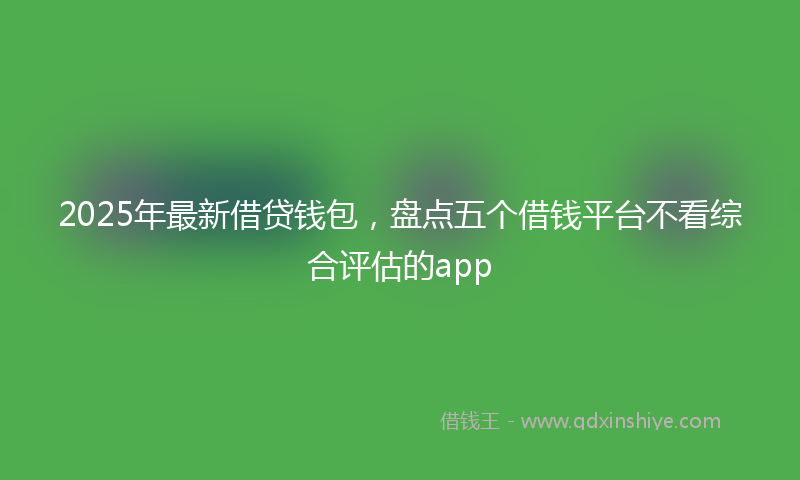 2025年最新借贷钱包，盘点五个借钱平台不看综合评估的app