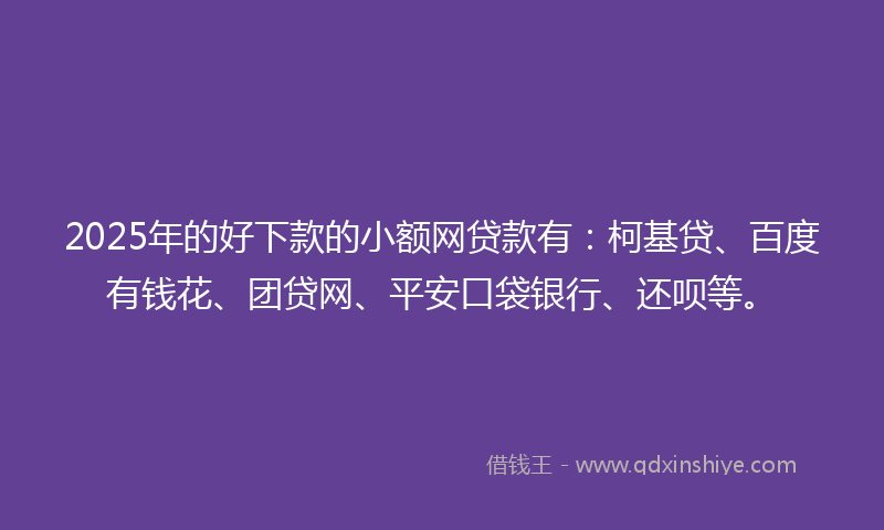 2025年的好下款的小额网贷款有：柯基贷、百度有钱花、团贷网、平安口袋银行、还呗等。