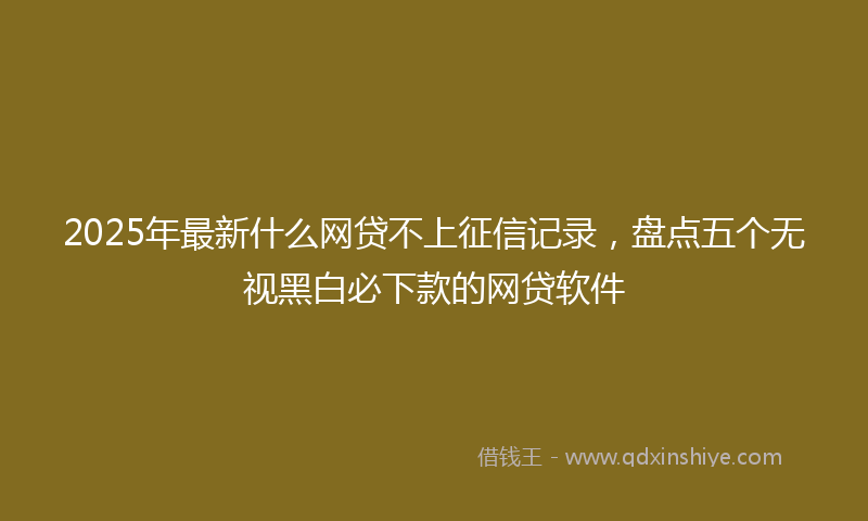 2025年最新什么网贷不上征信记录，盘点五个无视黑白必下款的网贷软件