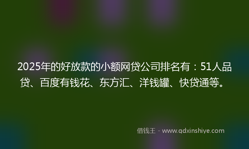 2025年的好放款的小额网贷公司排名有：51人品贷、百度有钱花、东方汇、洋钱罐、快贷通等。