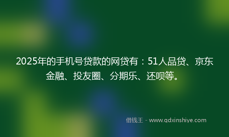 2025年的手机号贷款的网贷有：51人品贷、京东金融、投友圈、分期乐、还呗等。