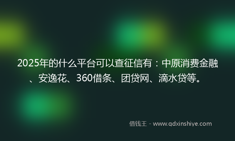 2025年的什么平台可以查征信有：中原消费金融、安逸花、360借条、团贷网、滴水贷等。