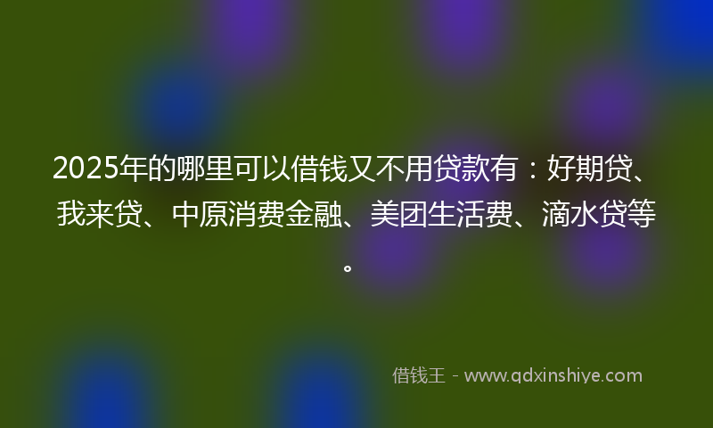 2025年的哪里可以借钱又不用贷款有：好期贷、我来贷、中原消费金融、美团生活费、滴水贷等。
