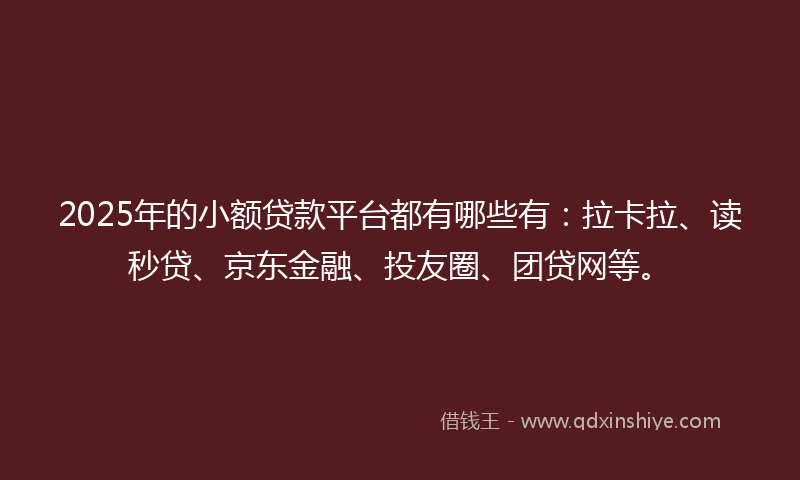 2025年的小额贷款平台都有哪些有：拉卡拉、读秒贷、京东金融、投友圈、团贷网等。