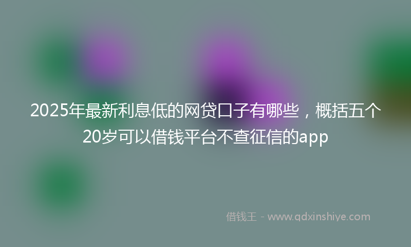 2025年最新利息低的网贷口子有哪些，概括五个20岁可以借钱平台不查征信的app