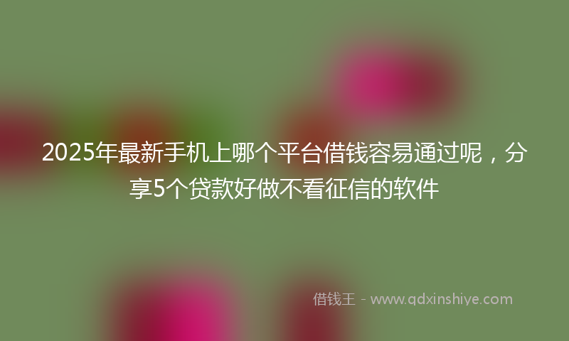2025年最新手机上哪个平台借钱容易通过呢，分享5个贷款好做不看征信的软件