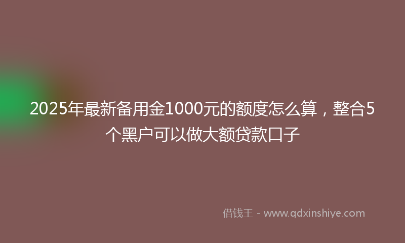 2025年最新备用金1000元的额度怎么算，整合5个黑户可以做大额贷款口子