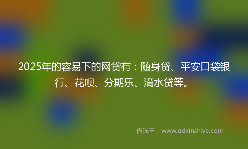 2025年的容易下的网贷有：随身贷、平安口袋银行、花呗、分期乐、滴水贷等。