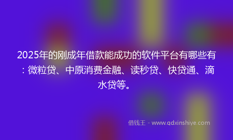 2025年的刚成年借款能成功的软件平台有哪些有：微粒贷、中原消费金融、读秒贷、快贷通、滴水贷等。
