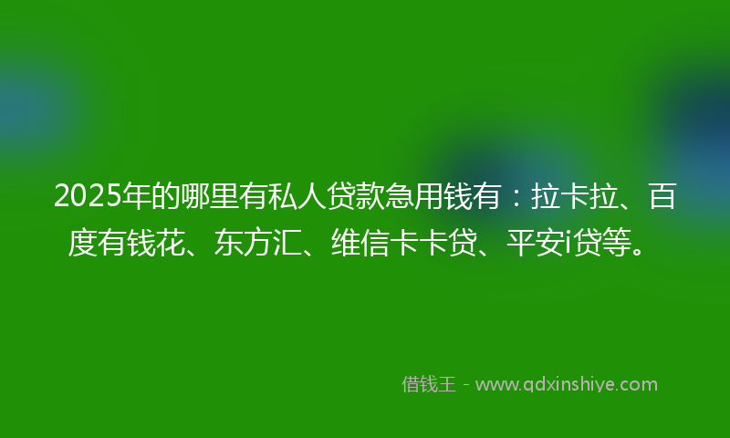 2025年的哪里有私人贷款急用钱有：拉卡拉、百度有钱花、东方汇、维信卡卡贷、平安i贷等。