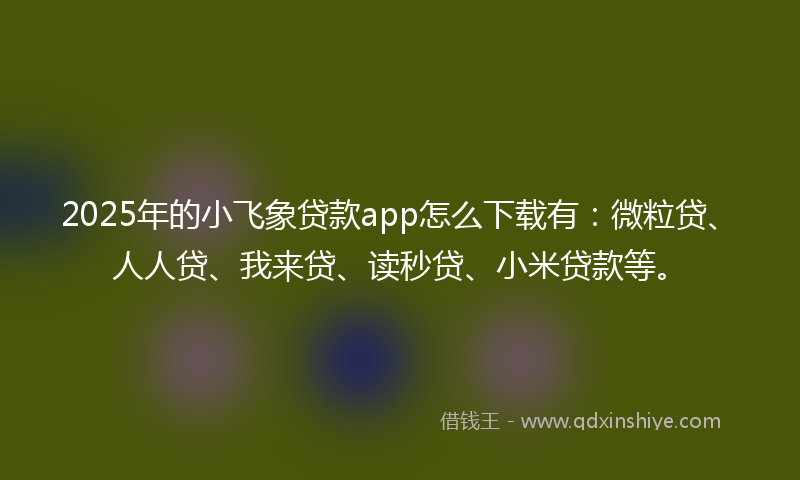 2025年的小飞象贷款app怎么下载有：微粒贷、人人贷、我来贷、读秒贷、小米贷款等。