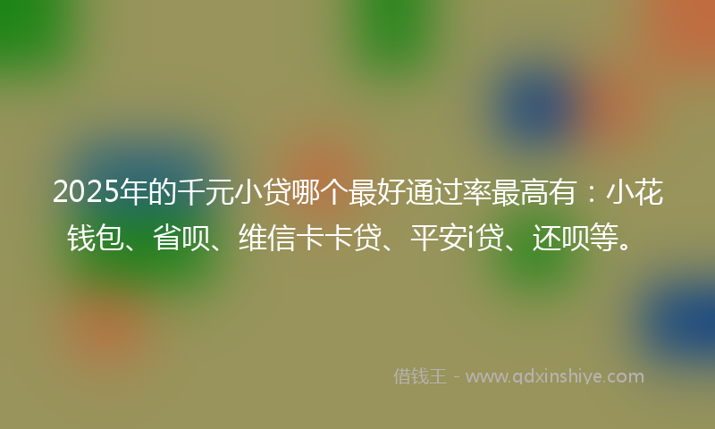 2025年的千元小贷哪个最好通过率最高有：小花钱包、省呗、维信卡卡贷、平安i贷、还呗等。