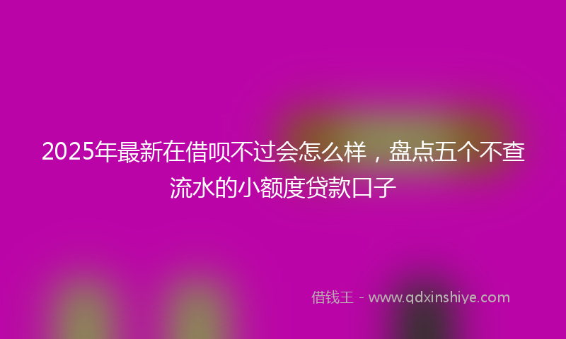 2025年最新在借呗不过会怎么样，盘点五个不查流水的小额度贷款口子