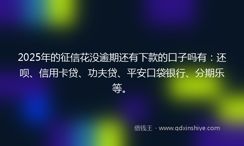 2025年的征信花没逾期还有下款的口子吗有：还呗、信用卡贷、功夫贷、平安口袋银行、分期乐等。