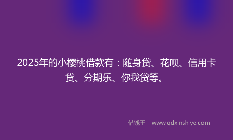 2025年的小樱桃借款有：随身贷、花呗、信用卡贷、分期乐、你我贷等。