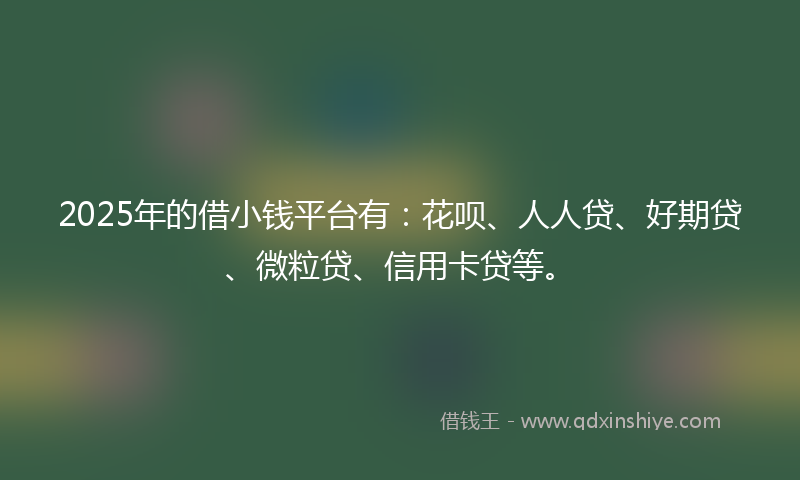 2025年的借小钱平台有：花呗、人人贷、好期贷、微粒贷、信用卡贷等。