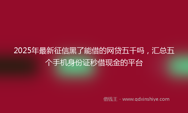 2025年最新征信黑了能借的网贷五千吗，汇总五个手机身份证秒借现金的平台