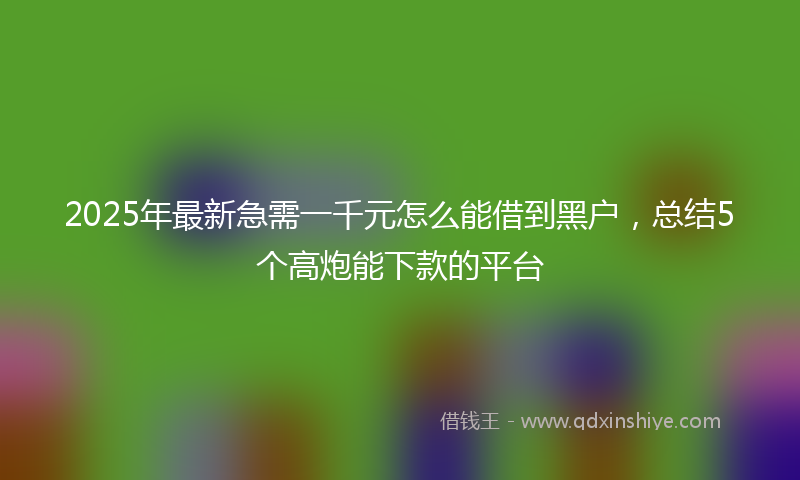 2025年最新急需一千元怎么能借到黑户，总结5个高炮能下款的平台