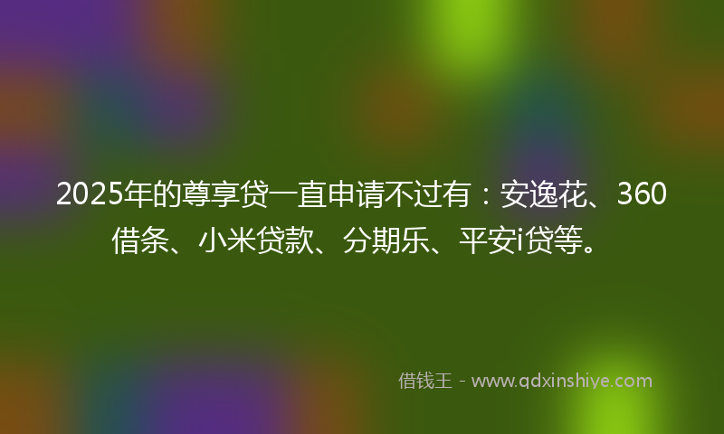 2025年的尊享贷一直申请不过有：安逸花、360借条、小米贷款、分期乐、平安i贷等。