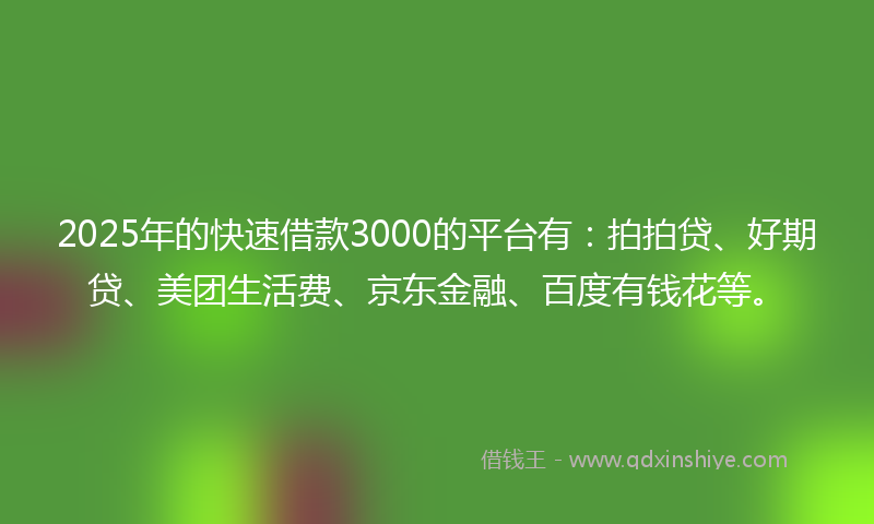 2025年的快速借款3000的平台有：拍拍贷、好期贷、美团生活费、京东金融、百度有钱花等。