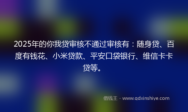 2025年的你我贷审核不通过审核有：随身贷、百度有钱花、小米贷款、平安口袋银行、维信卡卡贷等。