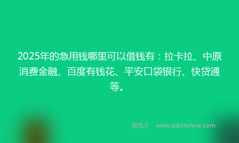 2025年的急用钱哪里可以借钱有：拉卡拉、中原消费金融、百度有钱花、平安口袋银行、快贷通等。