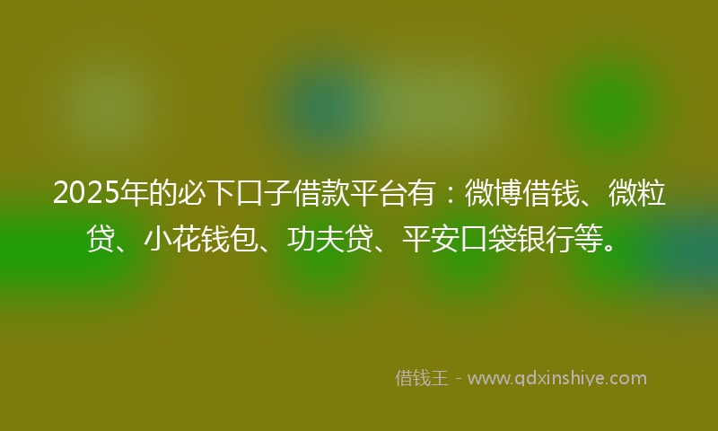 2025年的必下口子借款平台有：微博借钱、微粒贷、小花钱包、功夫贷、平安口袋银行等。