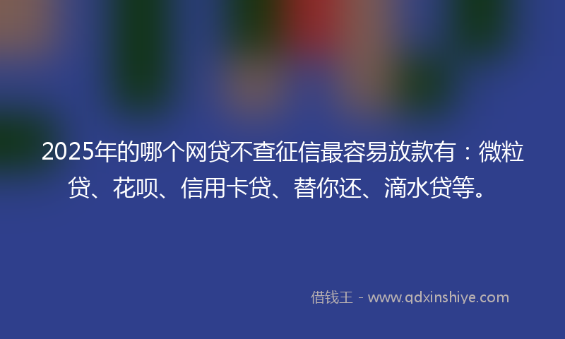 2025年的哪个网贷不查征信最容易放款有：微粒贷、花呗、信用卡贷、替你还、滴水贷等。