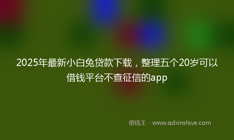 2025年最新小白兔贷款下载，整理五个20岁可以借钱平台不查征信的app