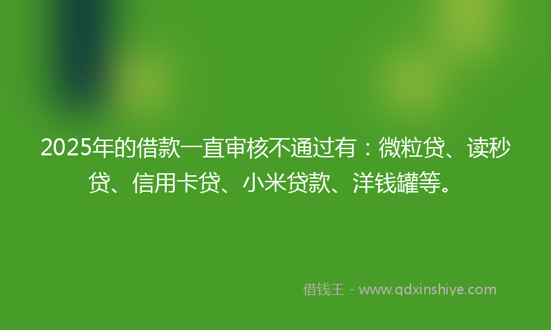2025年的借款一直审核不通过有：微粒贷、读秒贷、信用卡贷、小米贷款、洋钱罐等。
