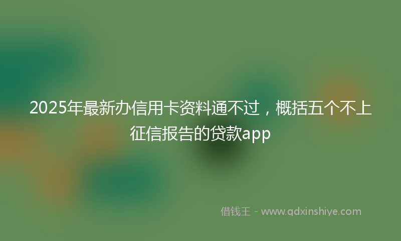 2025年最新办信用卡资料通不过，概括五个不上征信报告的贷款app