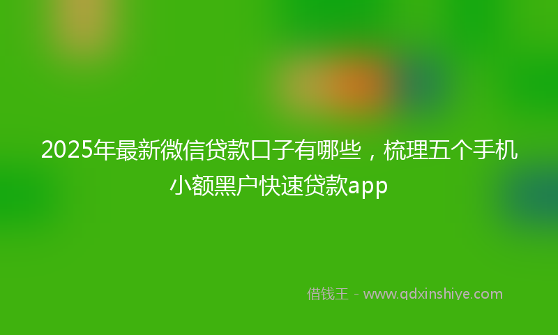 2025年最新微信贷款口子有哪些，梳理五个手机小额黑户快速贷款app