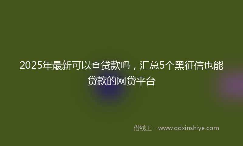 2025年最新可以查贷款吗，汇总5个黑征信也能贷款的网贷平台