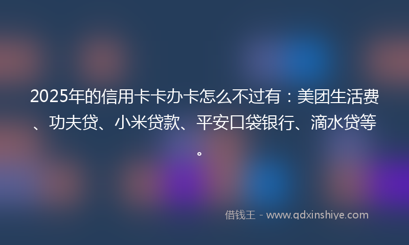 2025年的信用卡卡办卡怎么不过有：美团生活费、功夫贷、小米贷款、平安口袋银行、滴水贷等。