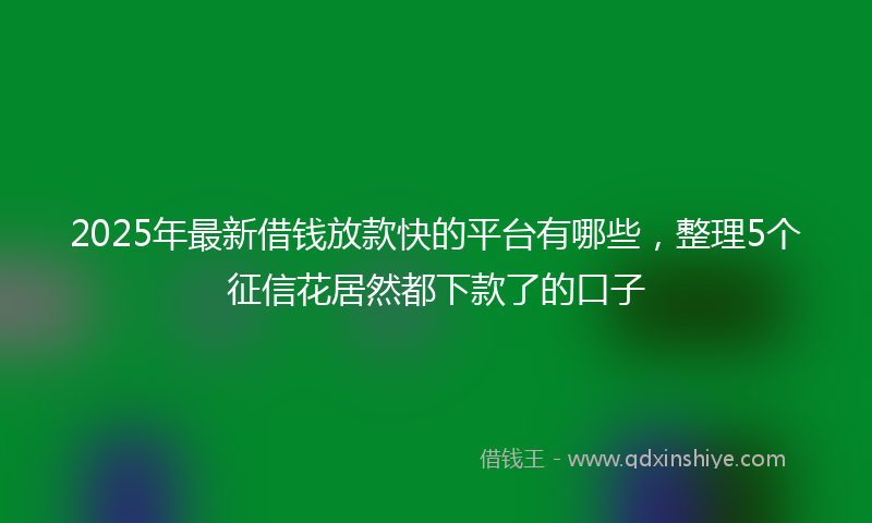 2025年最新借钱放款快的平台有哪些，整理5个征信花居然都下款了的口子