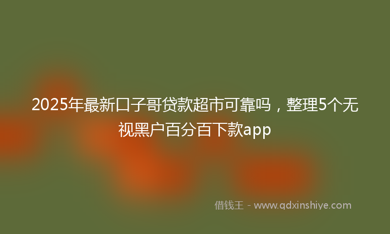 2025年最新口子哥贷款超市可靠吗，整理5个无视黑户百分百下款app