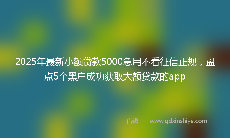 2025年最新小额贷款5000急用不看征信正规，盘点5个黑户成功获取大额贷款的app