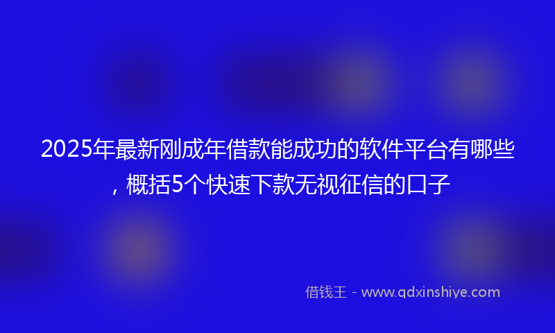 2025年最新刚成年借款能成功的软件平台有哪些，概括5个快速下款无视征信的口子