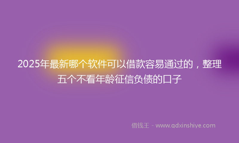 2025年最新哪个软件可以借款容易通过的，整理五个不看年龄征信负债的口子