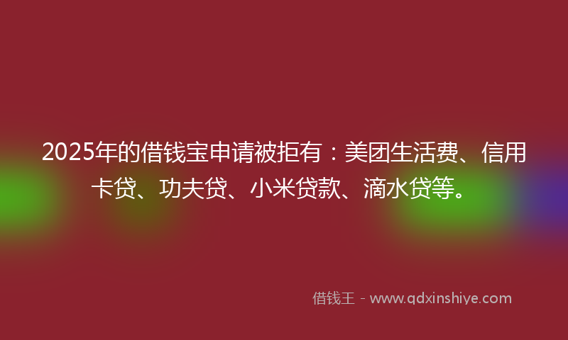 2025年的借钱宝申请被拒有：美团生活费、信用卡贷、功夫贷、小米贷款、滴水贷等。