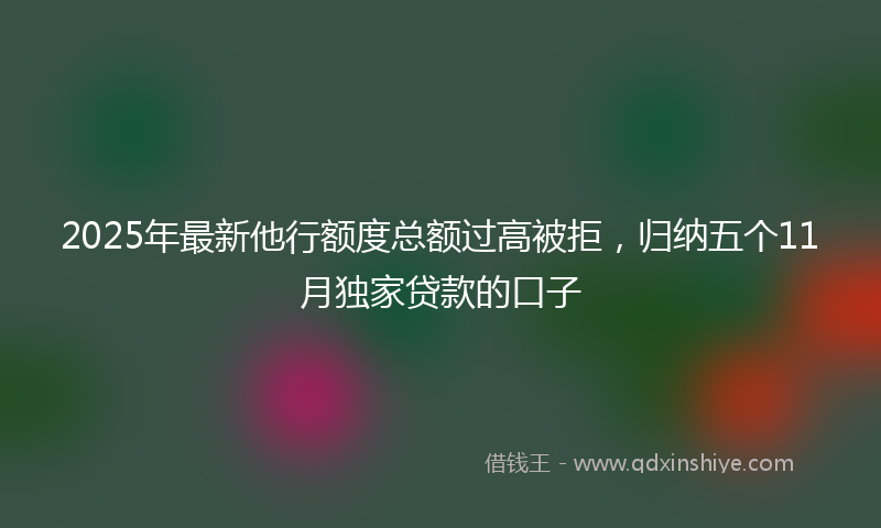 2025年最新他行额度总额过高被拒，归纳五个11月独家贷款的口子